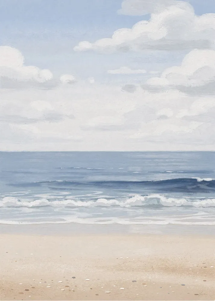 Le rivage de la plage douce Fine Artic