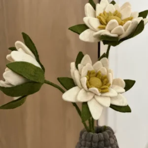 Fleur de Nénuphar