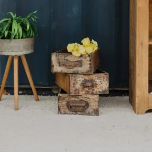 Ambroise, les trois caisses vintages en bois N°837 Flores