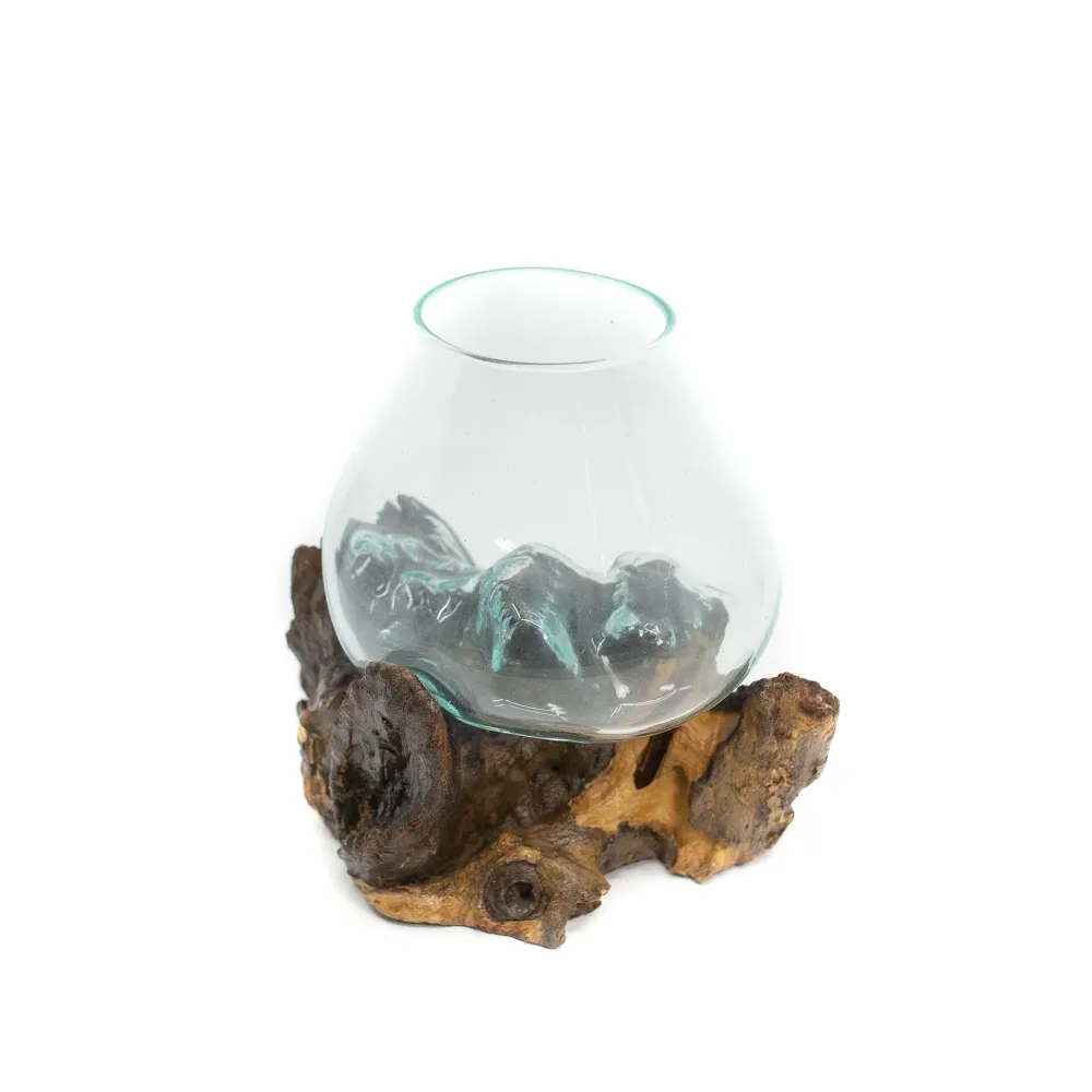 Globe en verre sur bois naturel, 6" Focus