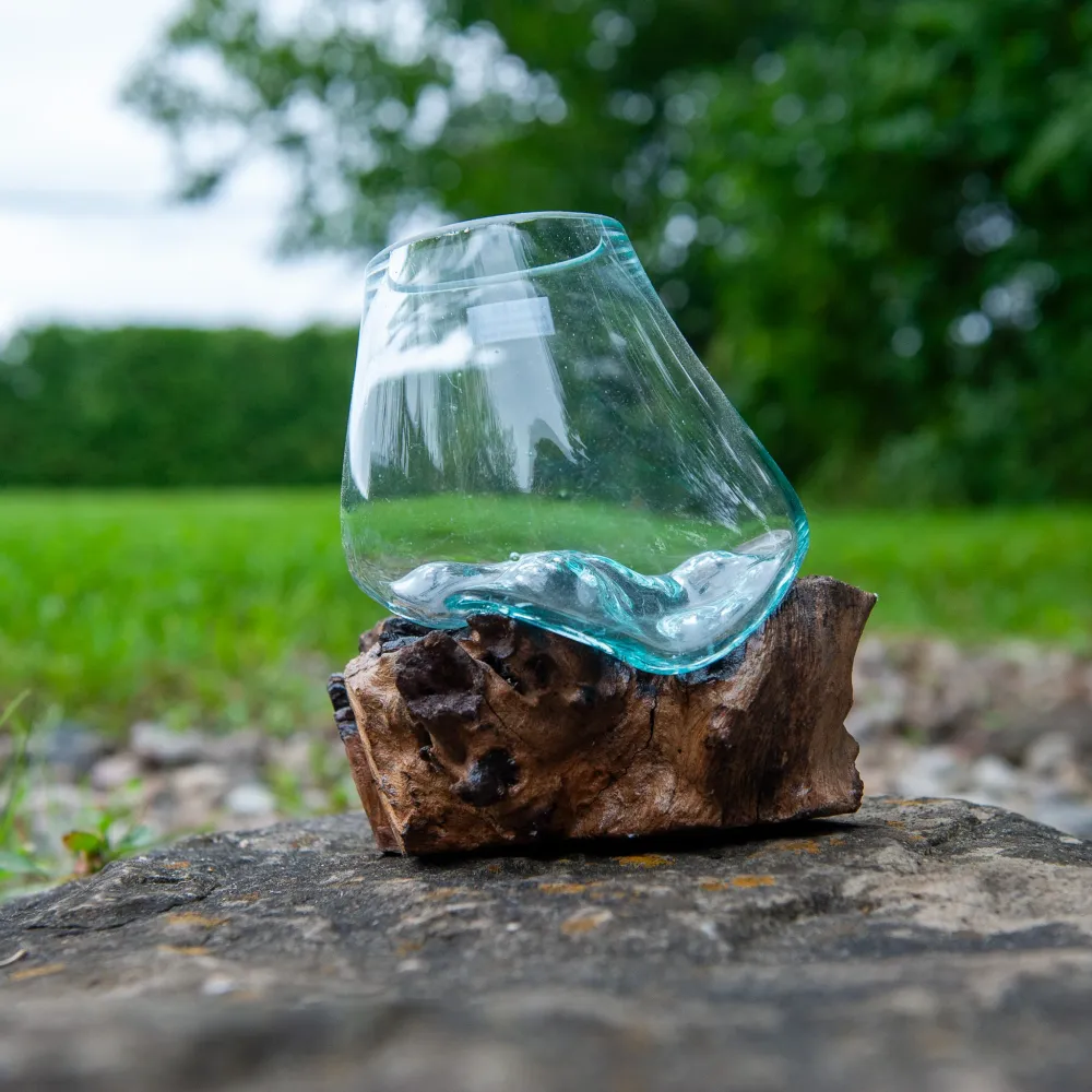 Globe en verre sur bois naturel, 6" Focus