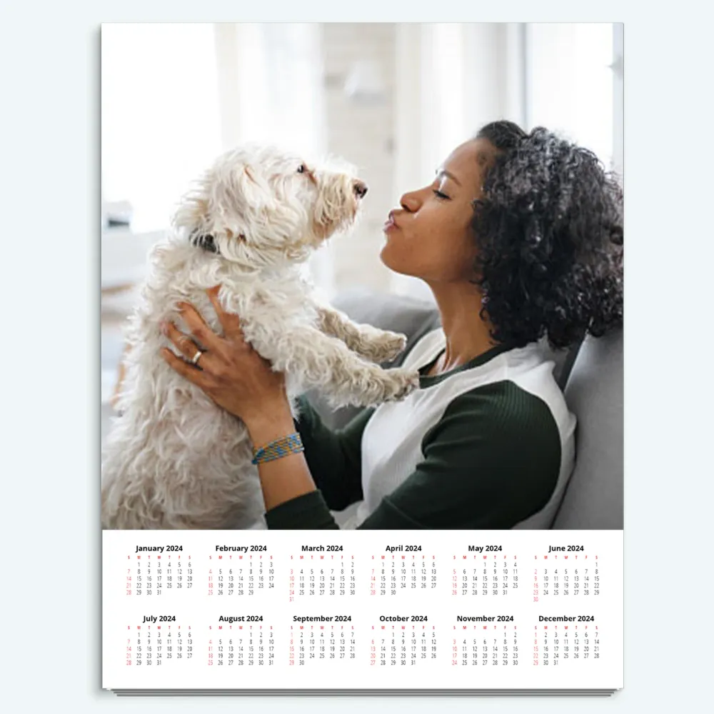 Calendrier affiche FUJIFILM