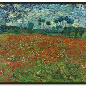 Champs de coquelicots - Vincent Van Gogh Galerie Mont-Blanc 2