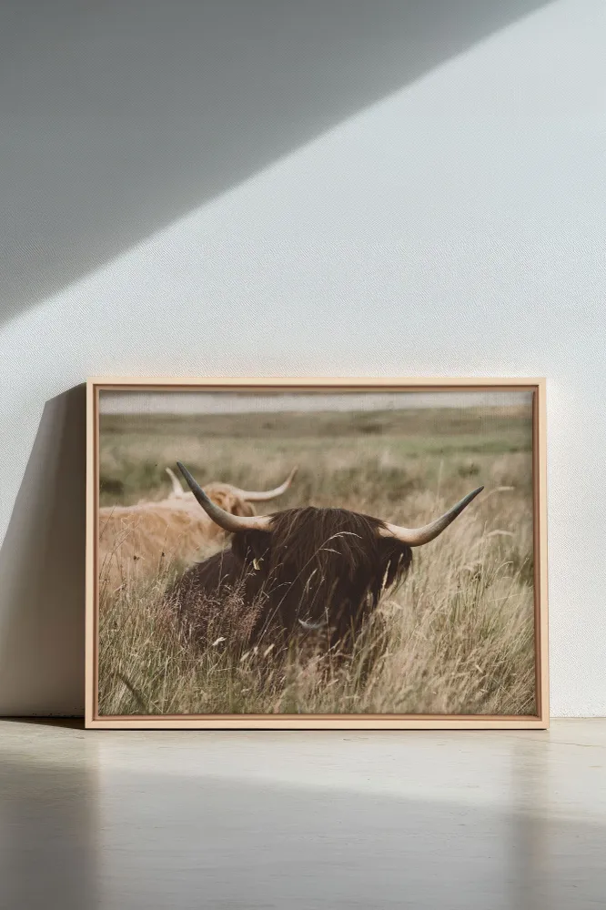 HIGHLAND SPIRIT, Oeuvre sur toile étirée Germain Larivière