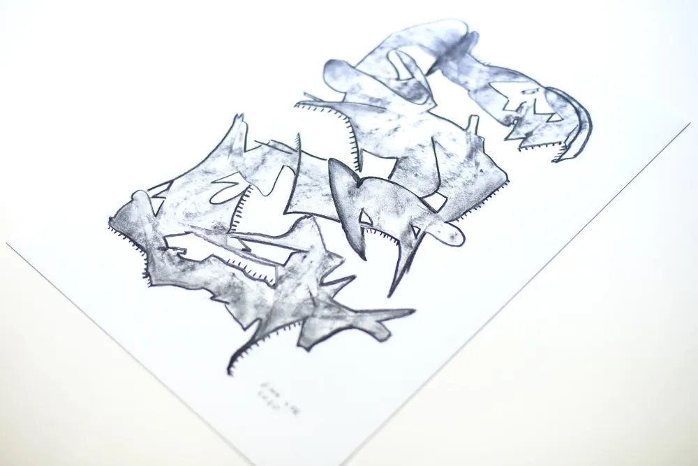 Dessin au fusain | Vision 10 Gina Vor