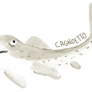 Cagnoetto Gioia GHEZZO