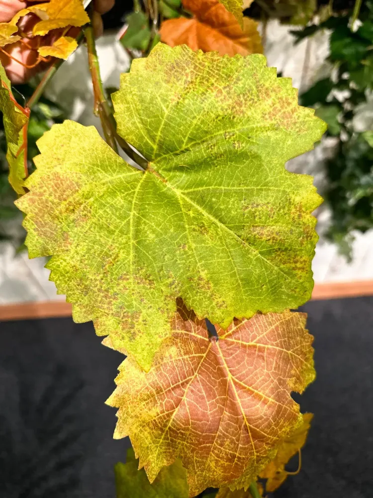 Guirlande de vigne artificielle - Bjarne | 180 cm