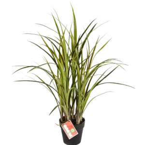 Herbe artificielle - Oceane | 75 cm