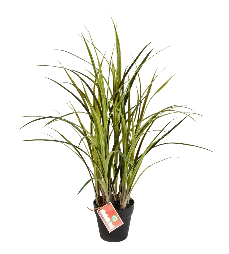 Herbe artificielle - Oceane | 75 cm