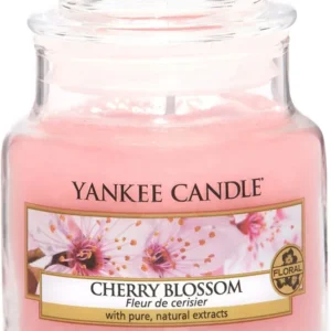 JARDIN D'EAU-Yankee Candle