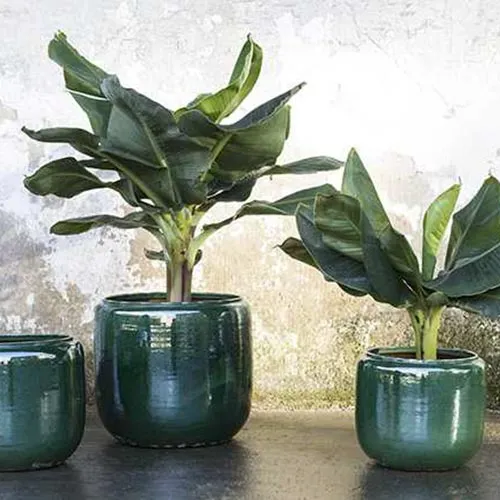 Jardinière verte Costa L