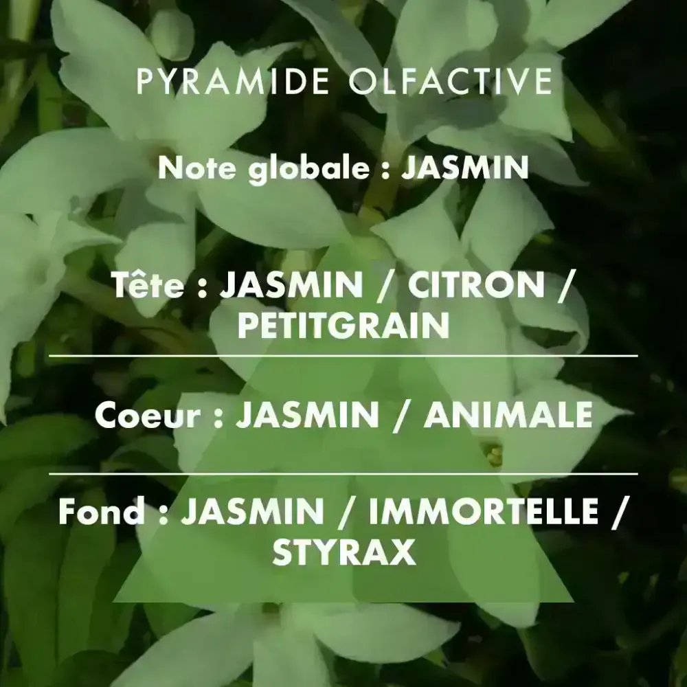 Jasmin - Bougie parfumée 190g