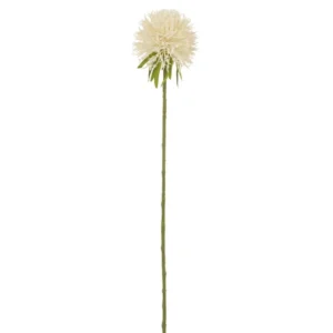 J-Line Bloem Allium Plastiek Wit S