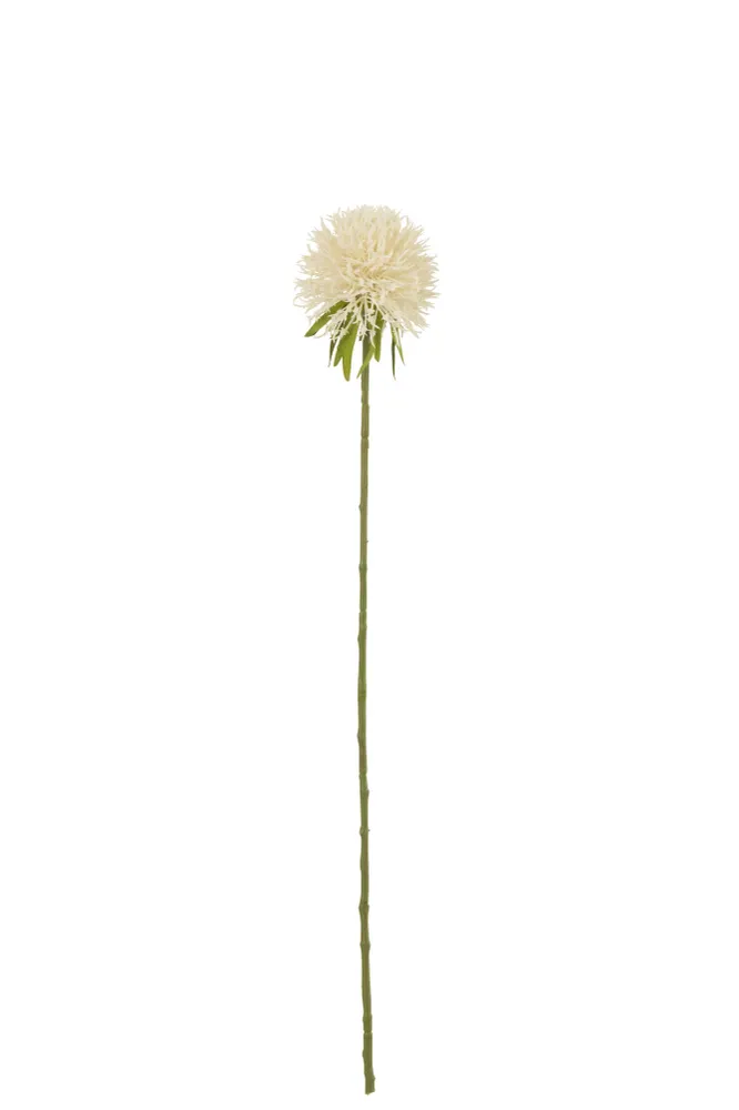 J-Line Bloem Allium Plastiek Wit S