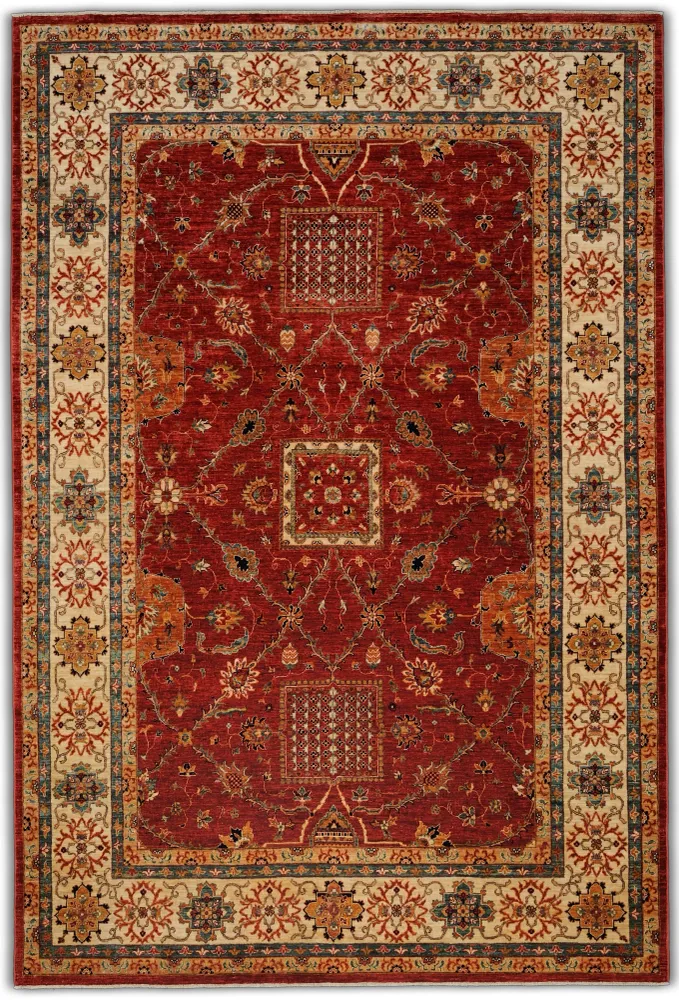 Kadesh Amende 50