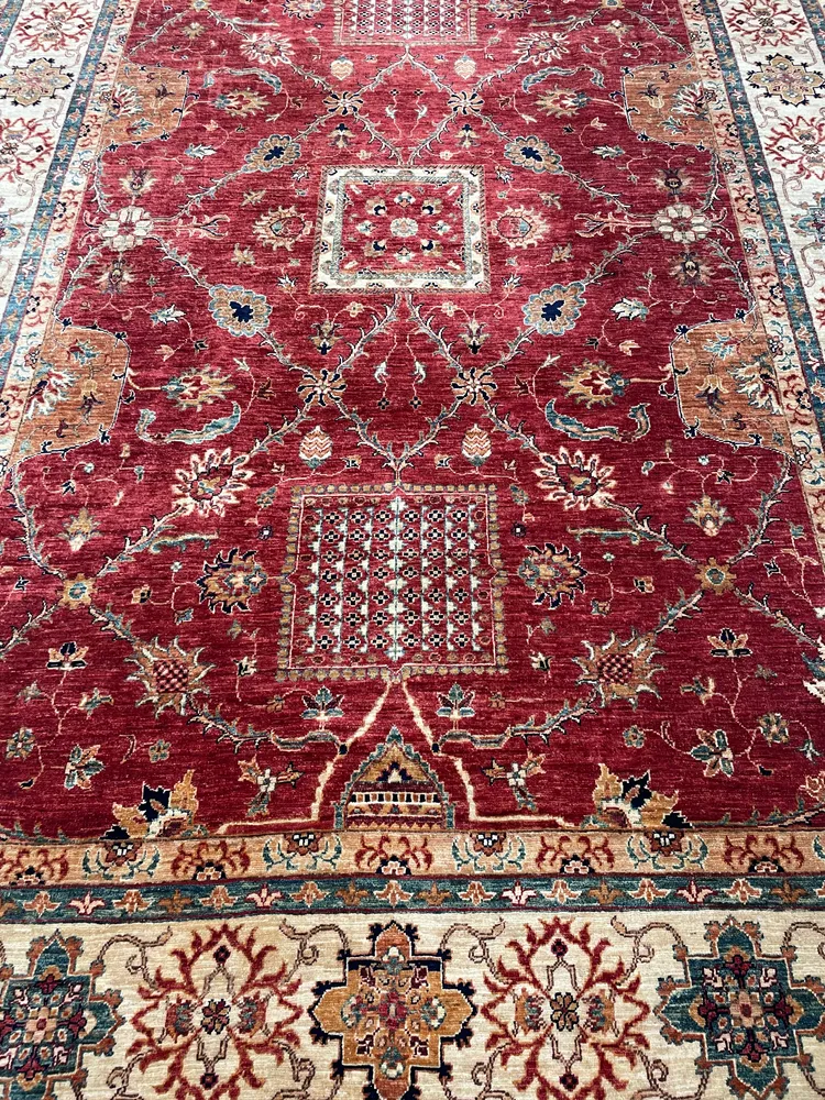 Kadesh Amende 50