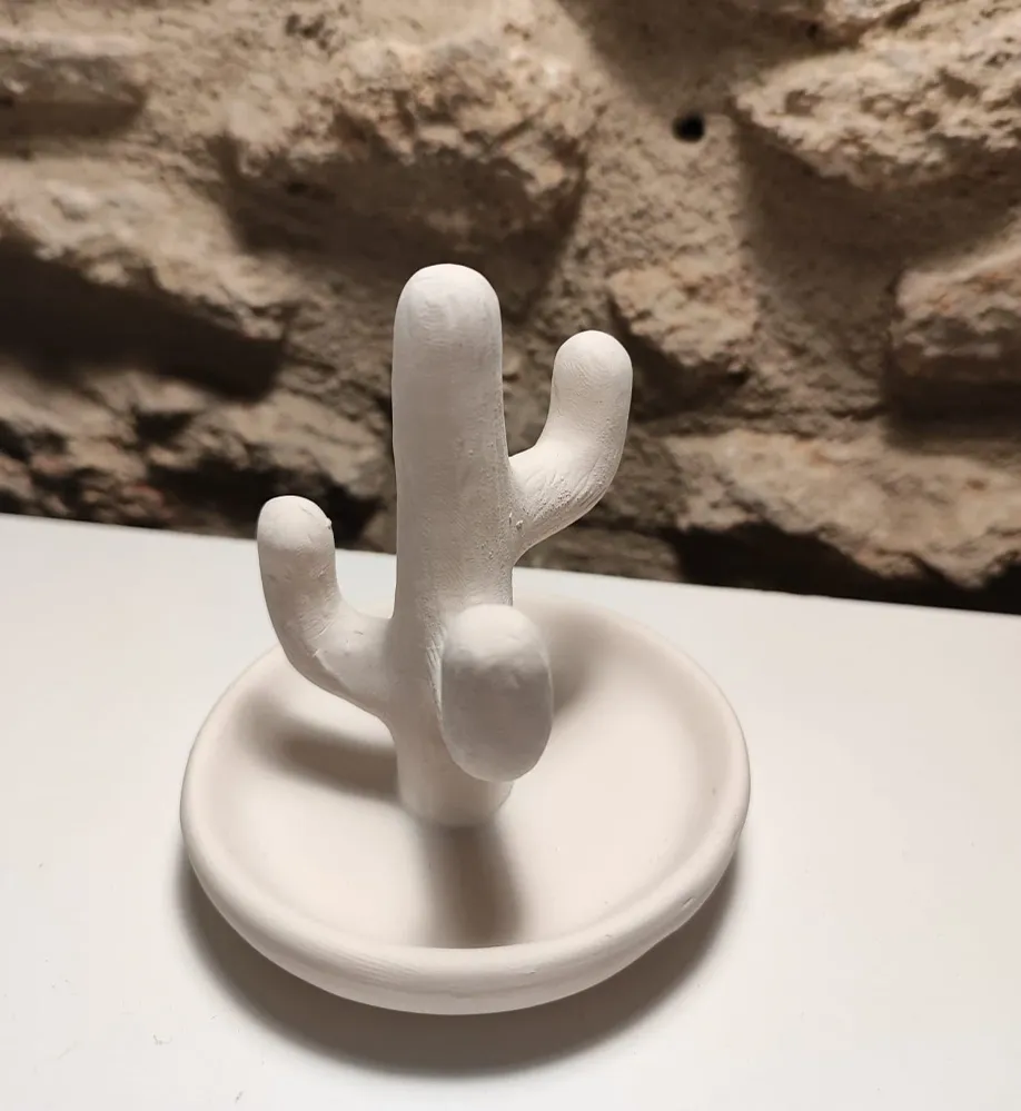 KIT - KARI Cactus Ringholder Keramix