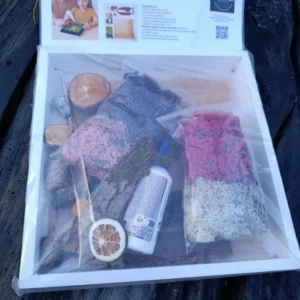 Kit à faire soi-même cadre végétal couleur des mousses (rose violet magenta et gris)cadre peint en blanc
