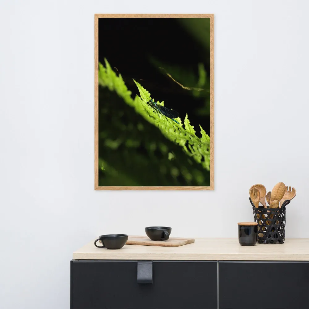 Affiche - Libellule verte Kuratoren von artlia