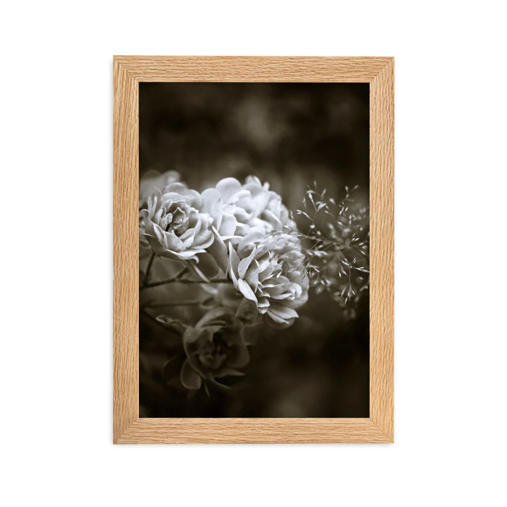 Affiche - Pivoines blanches Kuratoren von artlia