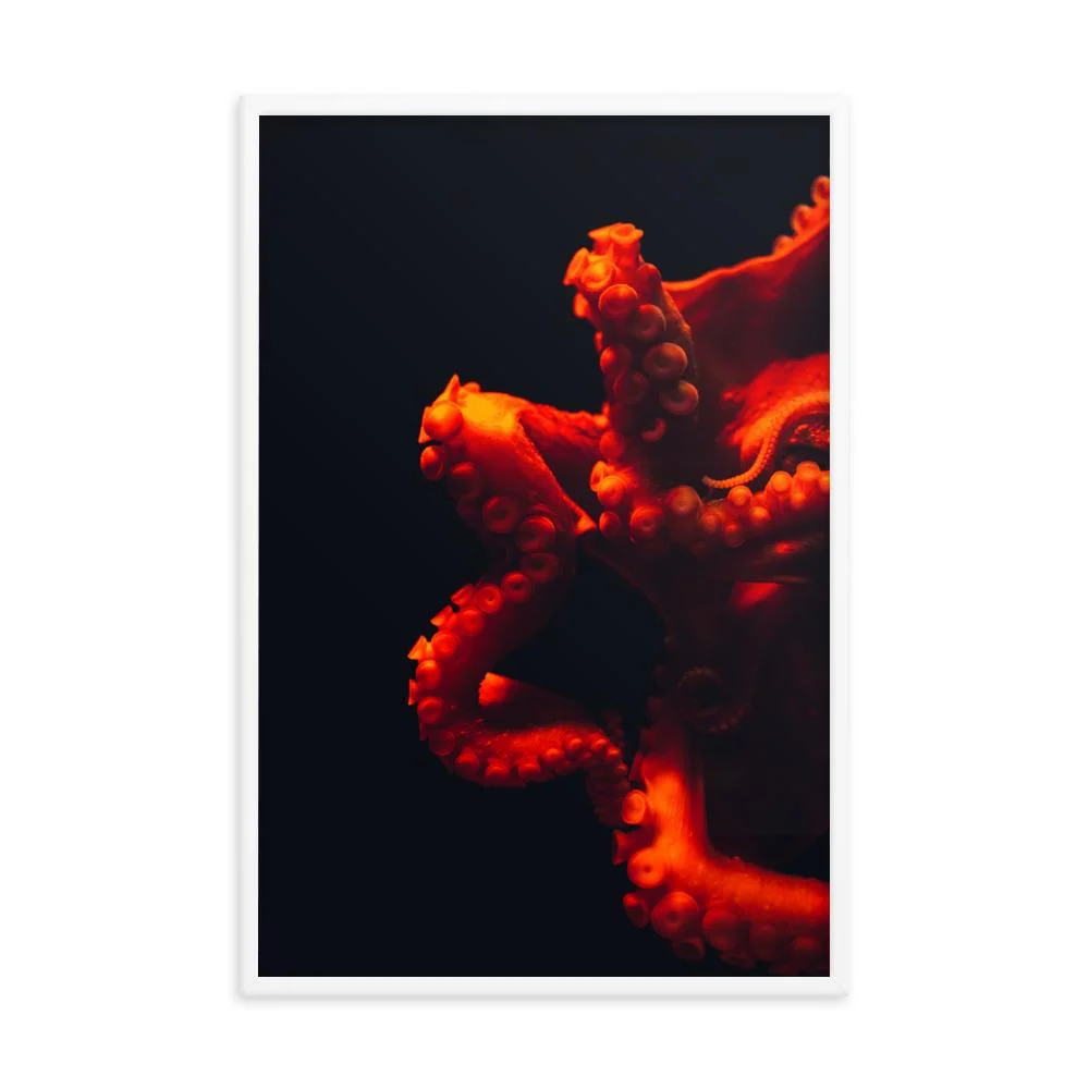 Affiche - Poulpe en colère Kuratoren von artlia