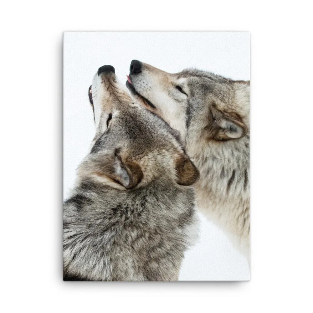 câlins aux loups - toile Kuratoren von artlia