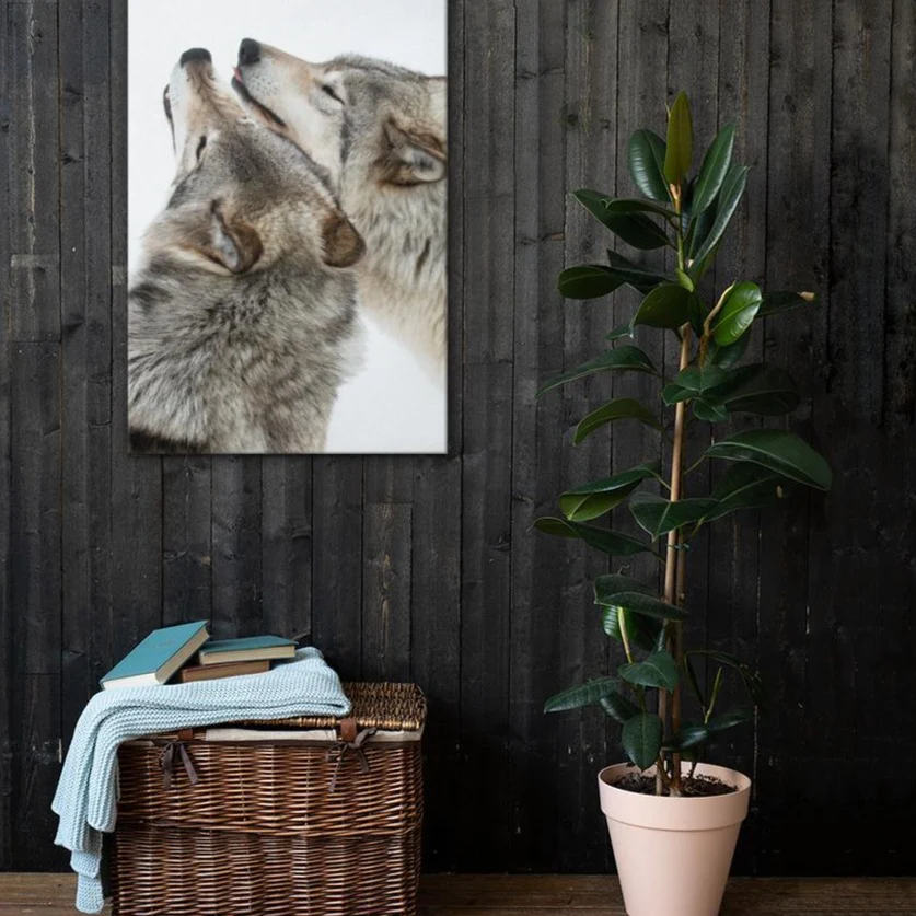 câlins aux loups - toile Kuratoren von artlia