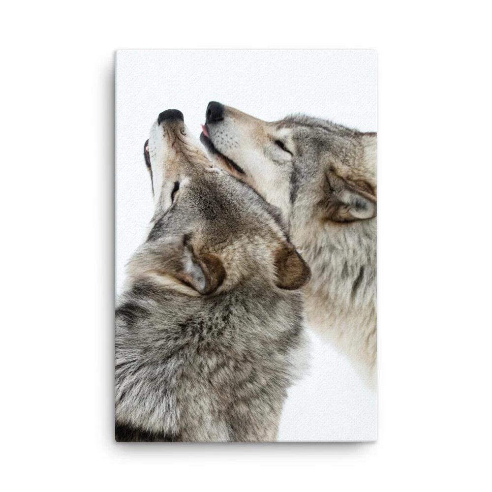 câlins aux loups - toile Kuratoren von artlia