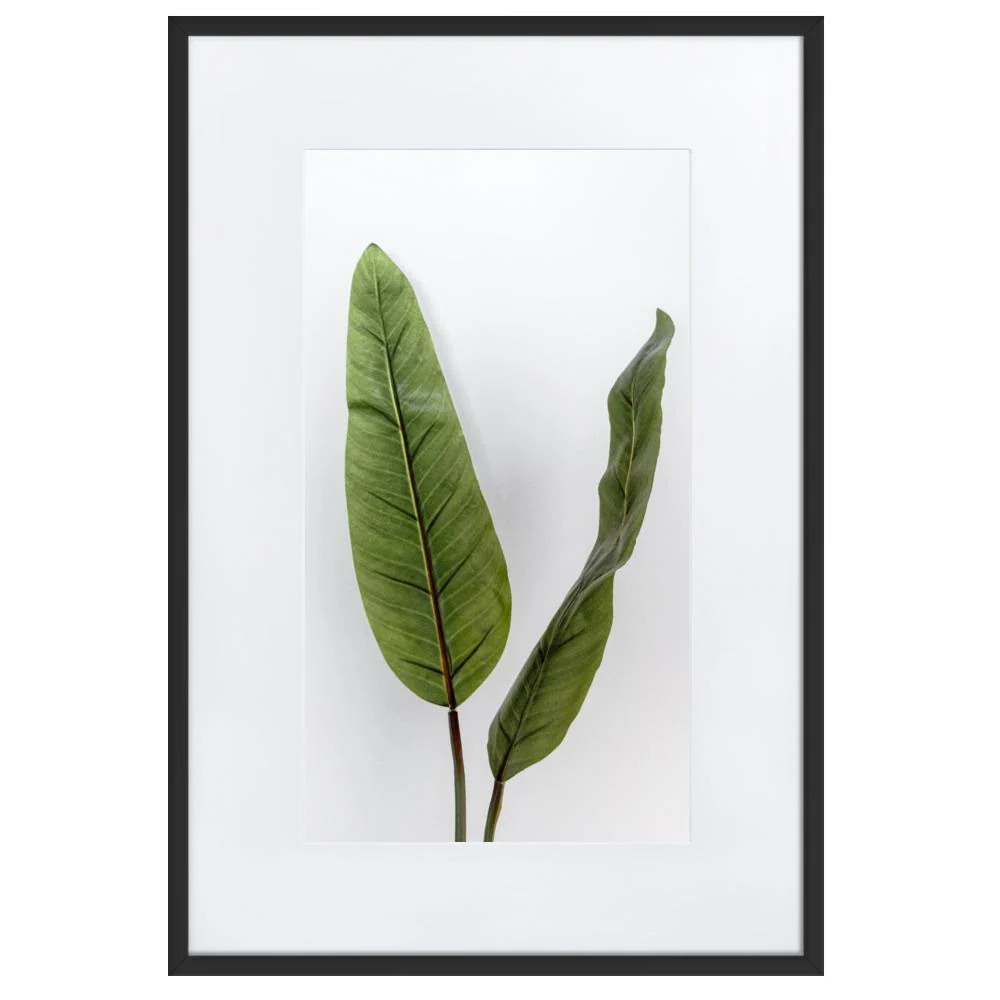 Feuilles Tropicales - Affiche encadrée avec passe-partout Kuratoren von artlia