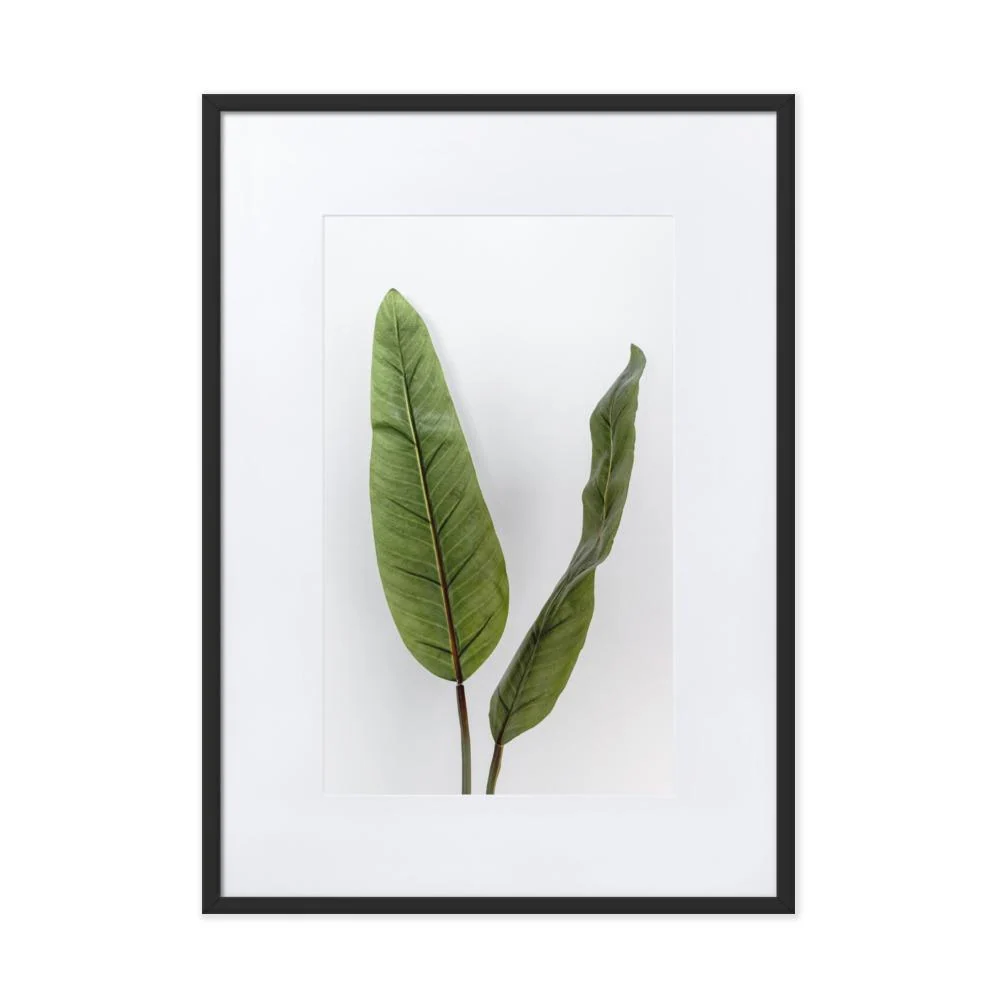 Feuilles Tropicales - Affiche encadrée avec passe-partout Kuratoren von artlia