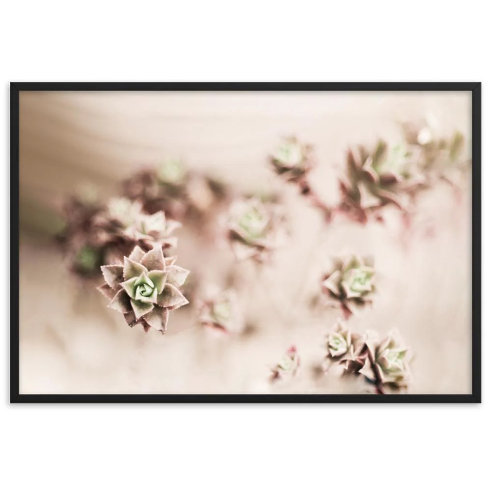 Flower Cactus - affiche dans un cadre Kuratoren von artlia