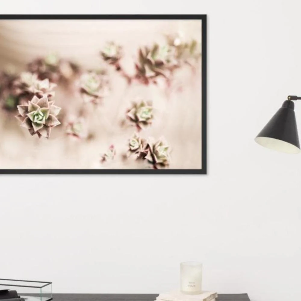 Flower Cactus - affiche dans un cadre Kuratoren von artlia