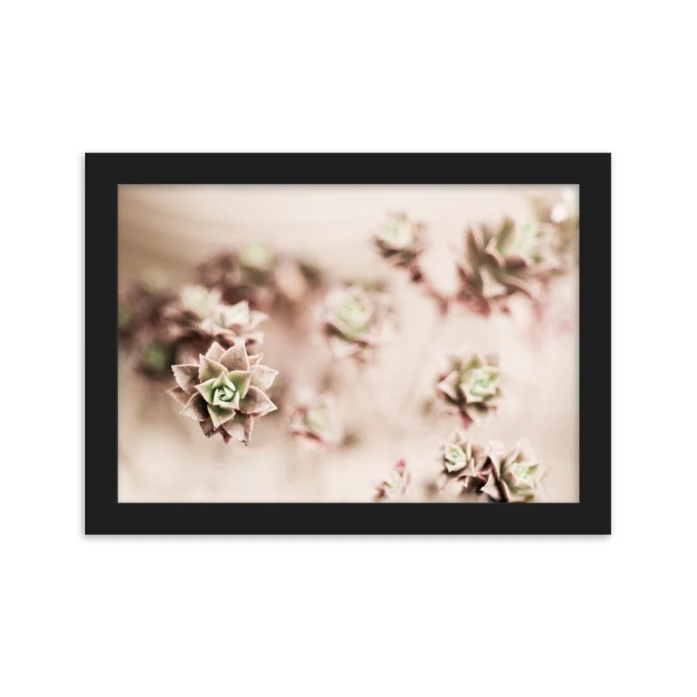 Flower Cactus - affiche dans un cadre Kuratoren von artlia