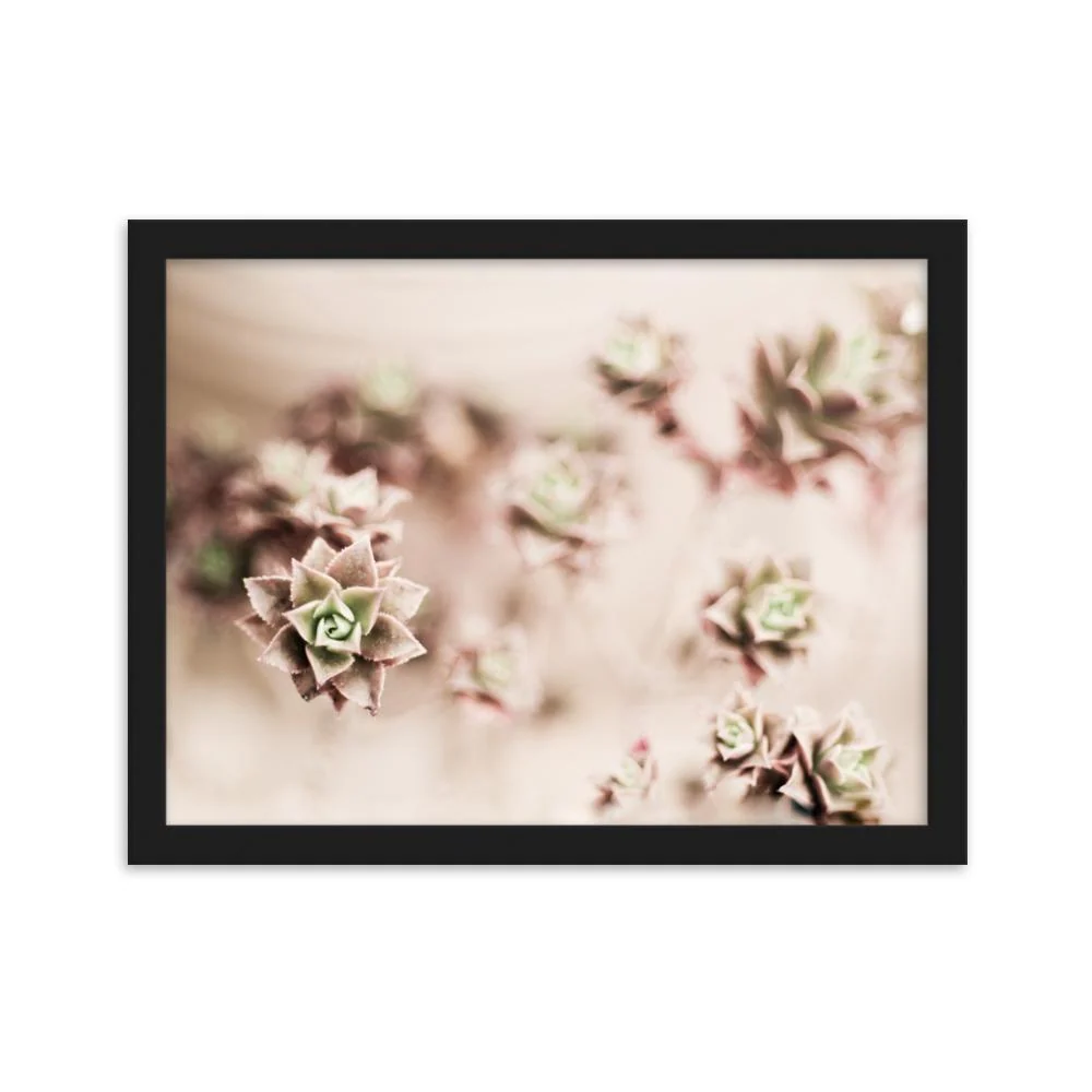 Flower Cactus - affiche dans un cadre Kuratoren von artlia