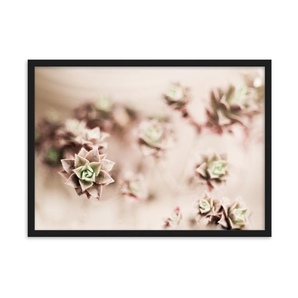 Flower Cactus - affiche dans un cadre Kuratoren von artlia