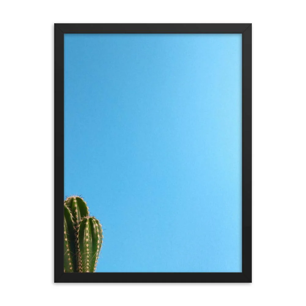 petit cactus - affiche dans un cadre Kuratoren von artlia