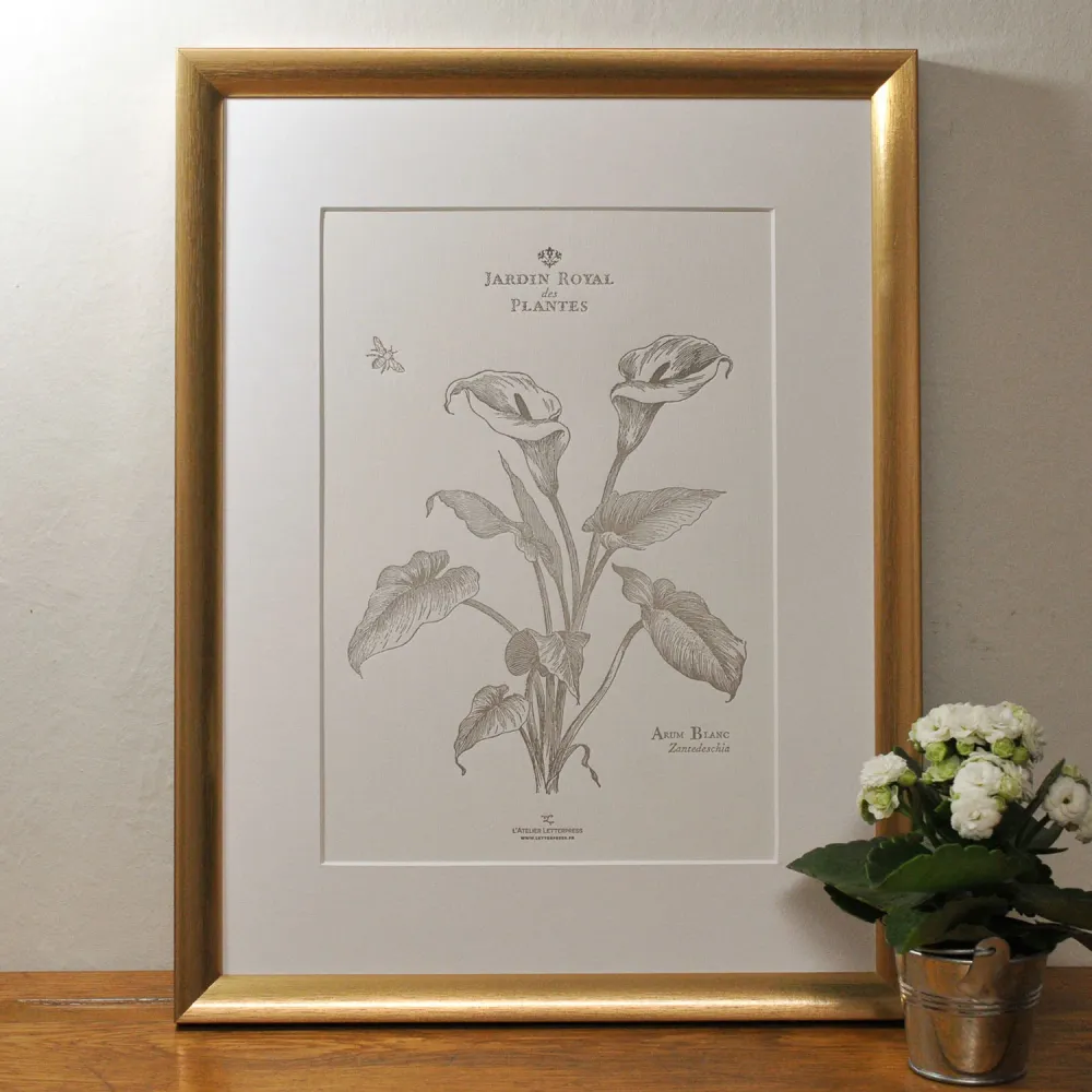 Affiche A4 Letterpress Arum L'Atelier Letterpress