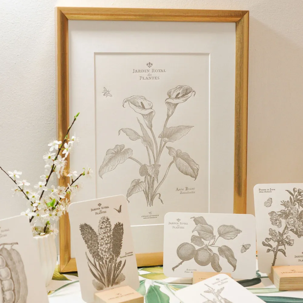 Affiche A4 Letterpress Arum L'Atelier Letterpress