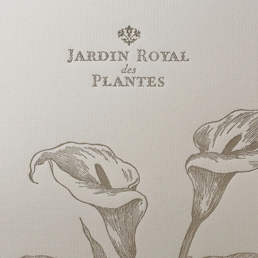Affiche A4 Letterpress Arum L'Atelier Letterpress