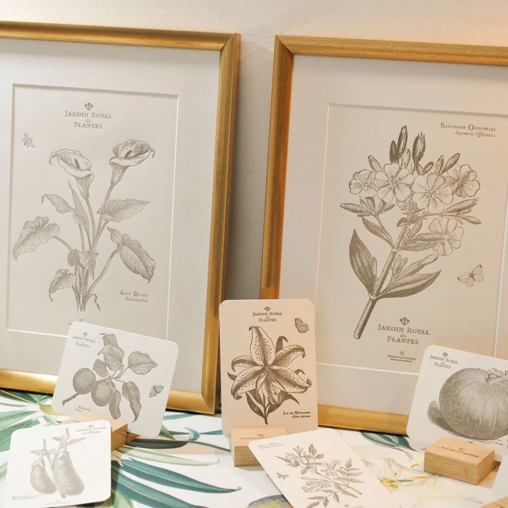 Affiche A4 Letterpress Arum L'Atelier Letterpress