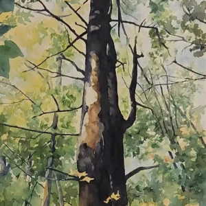 Looking up - tree w/leaves