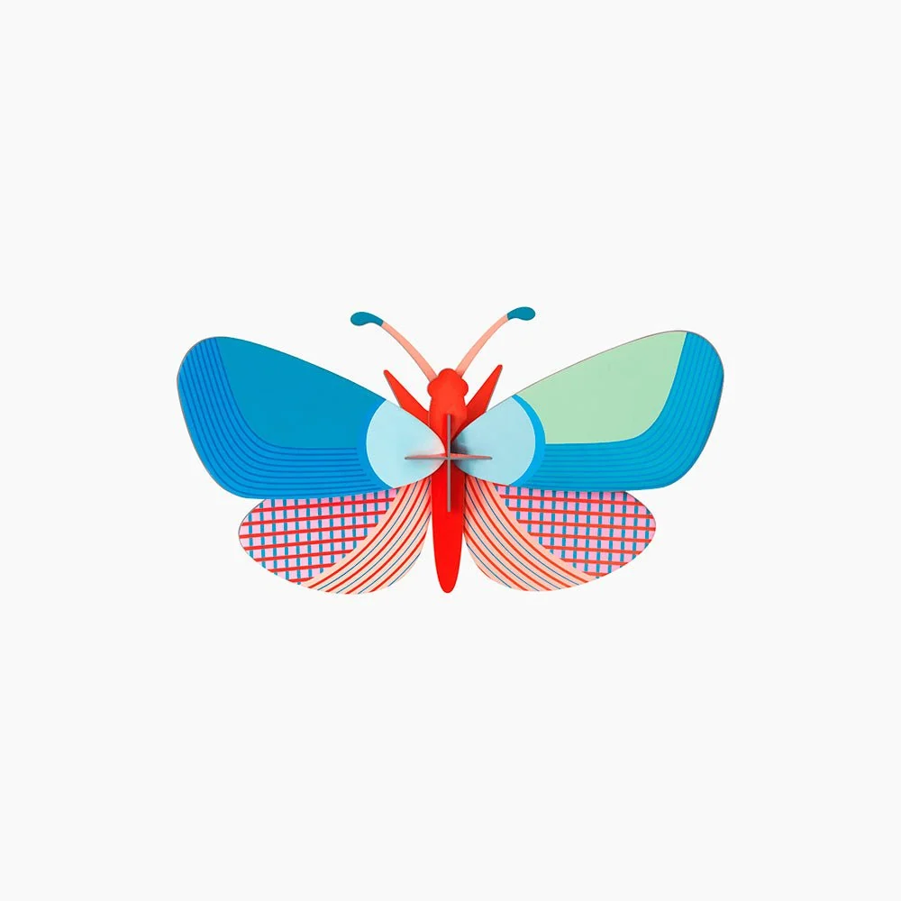 Lys papillon