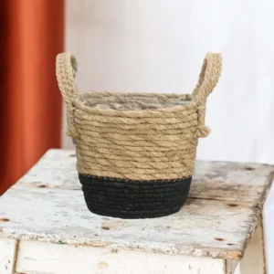 Mand Java Pot de Plante 17 cm