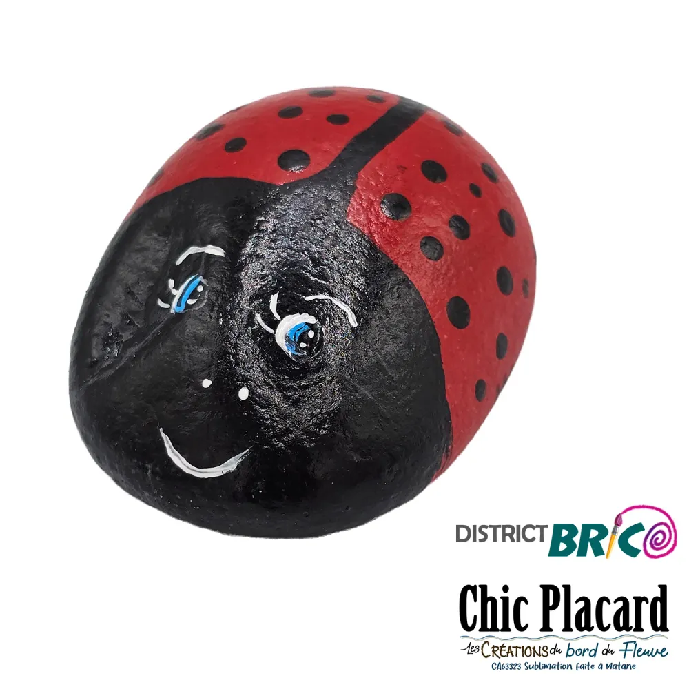 Coccinelle - Roche peinte par District BRICO Martine Gauthier