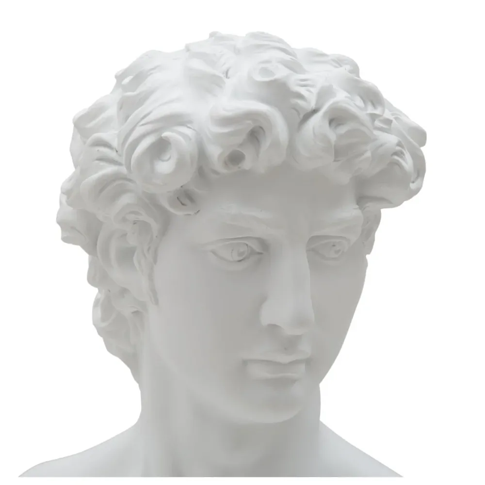 Tête masculine en polyrésine blanche – Élément décoratif d'art classique Mauro Ferretti