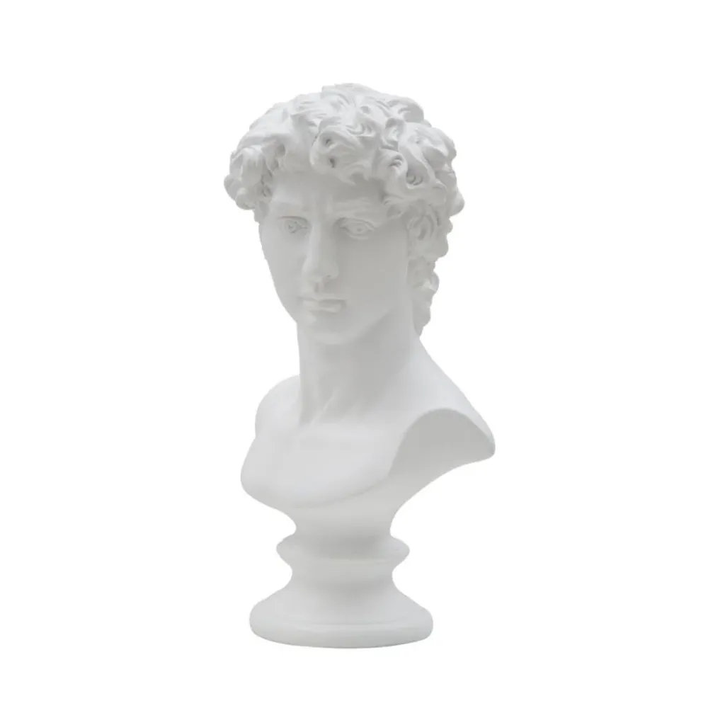 Tête masculine en polyrésine blanche – Élément décoratif d'art classique Mauro Ferretti