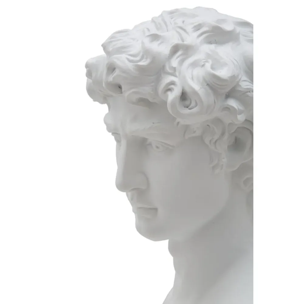 Tête masculine en polyrésine blanche – Élément décoratif d'art classique Mauro Ferretti