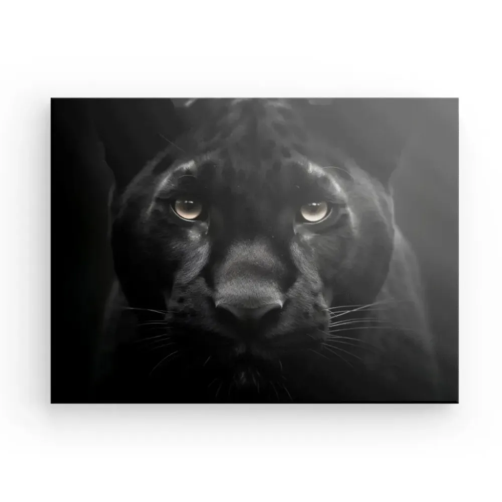 Tableau Panthère Noire Regard Percant Portrait Animal Sauvage Noir et Blanc merchOne