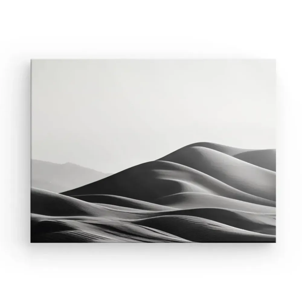 Tableau Photographique Dunes de Sable Noir et Blanc merchOne
