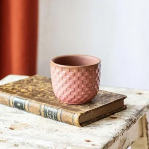 Mini cache pot - RELIEF ROSE